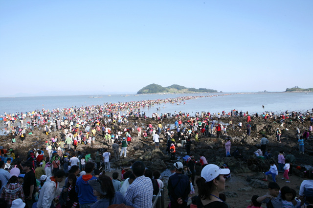 가장 긴 바닷길, 바닷길에 많은 사람 들어가기 사진